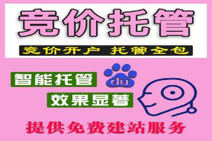 案例分享：专业SEM托管助力企业提升品牌形象